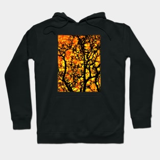 Fire Tree Nature Design in a time of climate change Hoodie